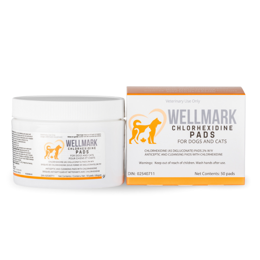 WELLMARK | Tampons à la chlorhexidine 50 pc