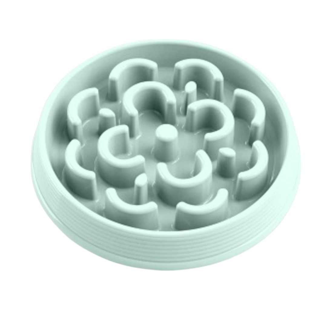 TARHONG | Slow chow medaillon feeder aqua