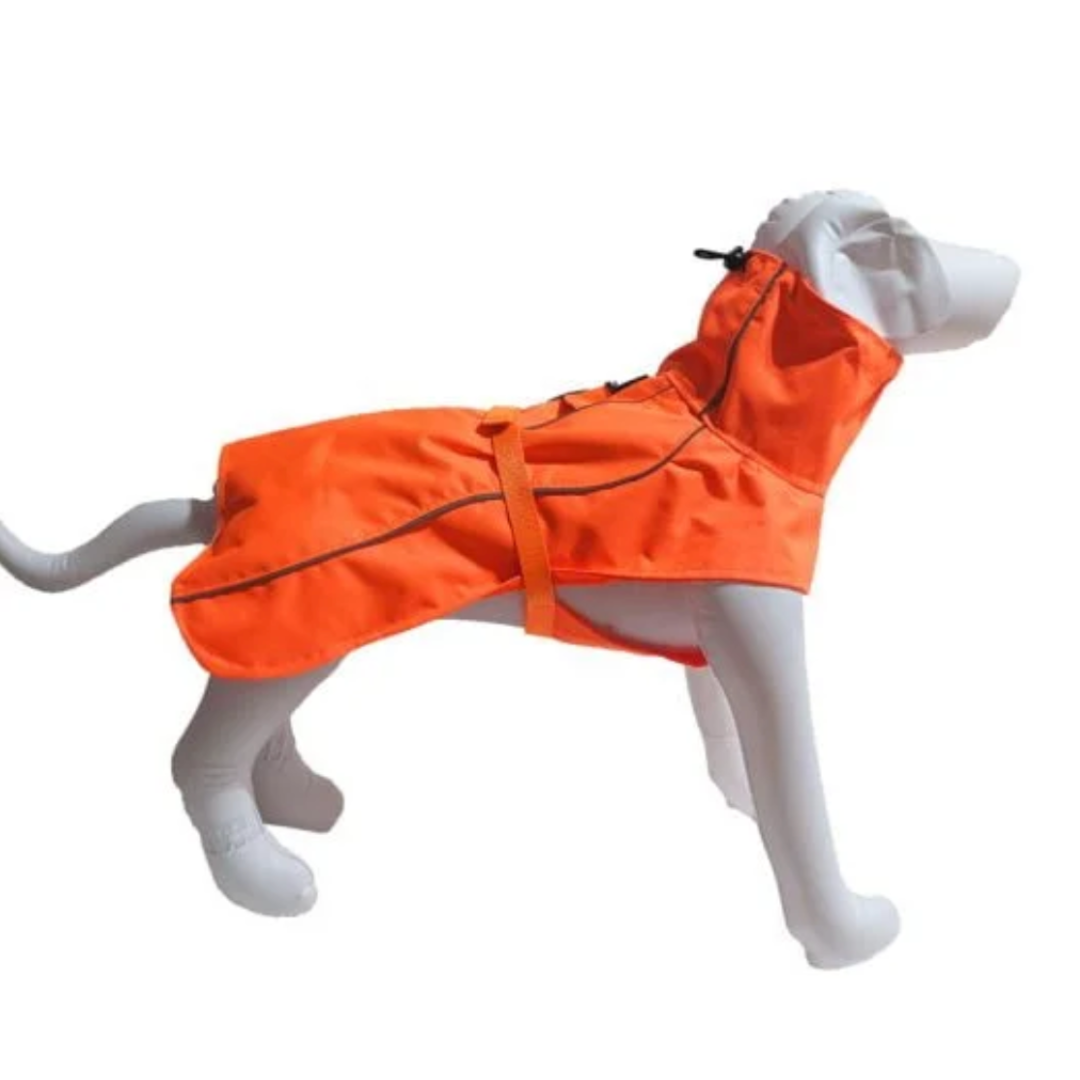 LE CHIEN BLANC | Manteau Equinoxe