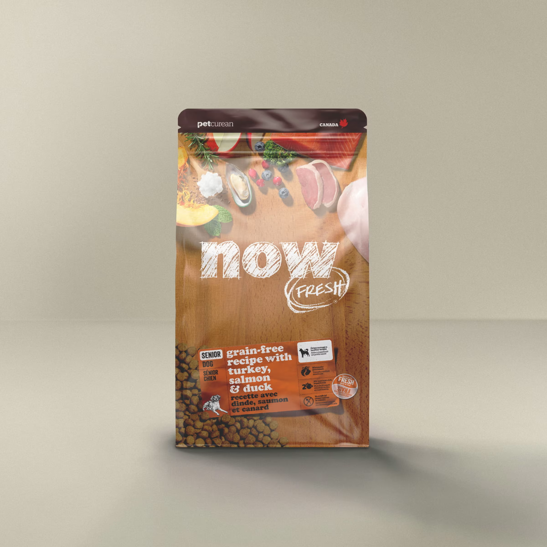 NOW FRESH | Dinde, saumon et canard, chien âgé