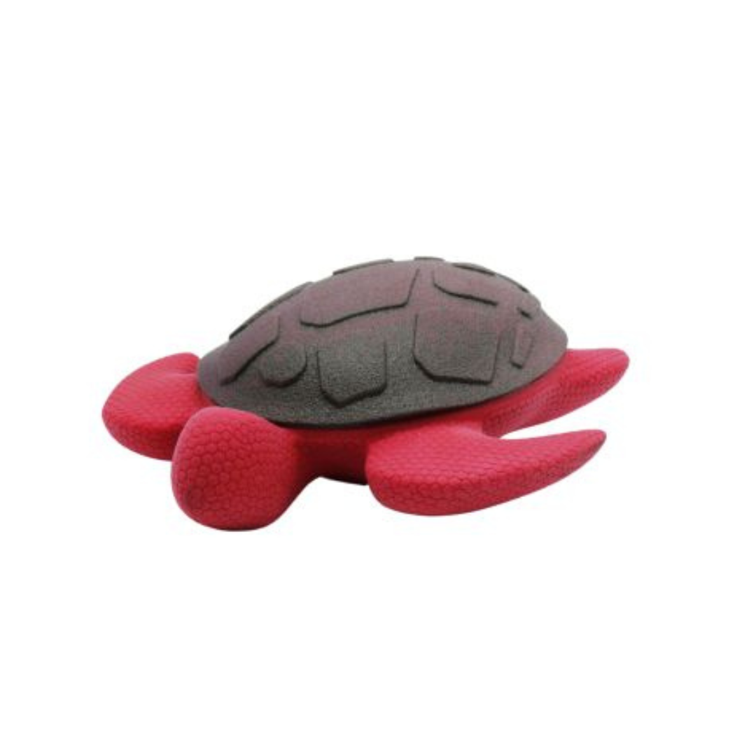BUD'Z | Tortue flottante