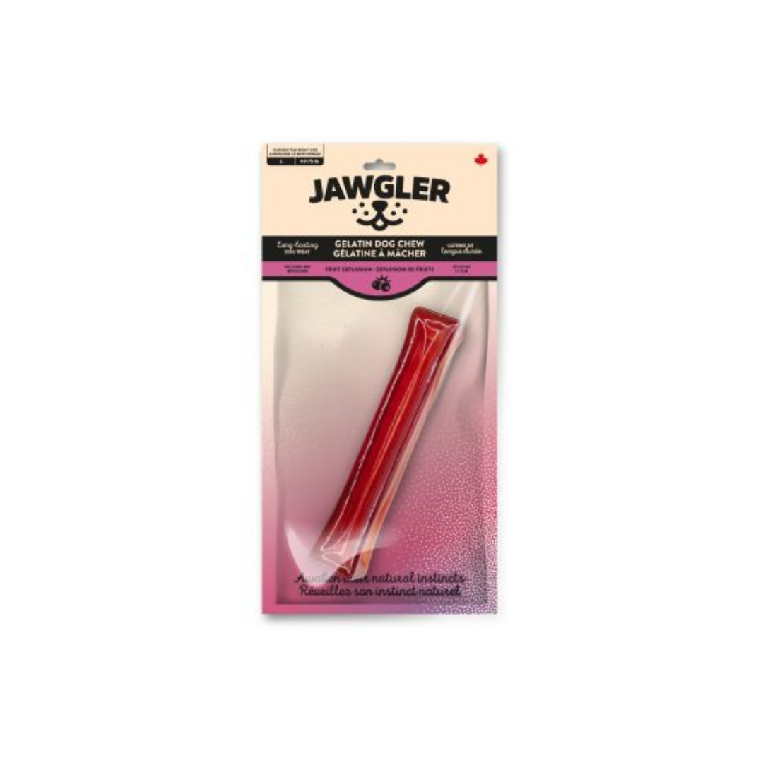 JAWGLER | Gélatine à mâcher explosion de fruits