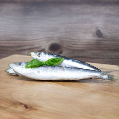 BIG COUNTRY RAW | Sardines 1lb