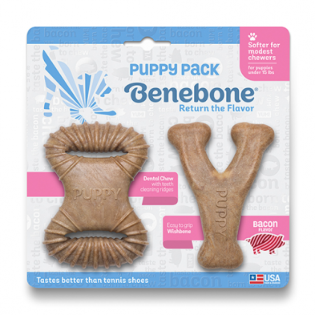 BENEBONE | Chiot jouet dentaire et wishbone bacon 2pc