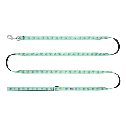 RC PETS | Laisse 3/4"X4'