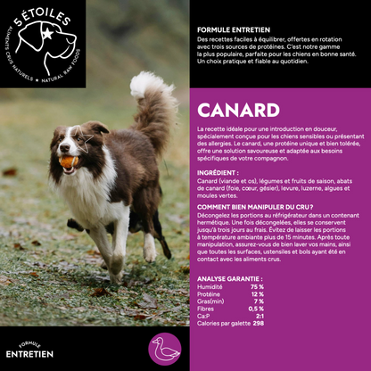 5 ÉTOILES | Canard 10lbs