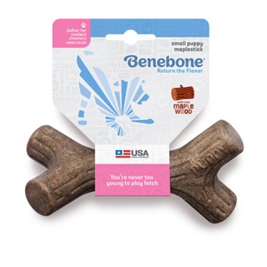 BENEBONE | Chiot maplestick bacon petit