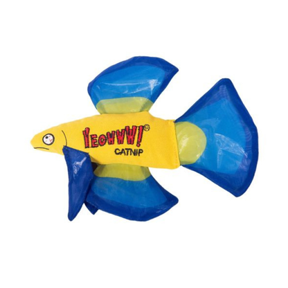 DUCKY WORLD | Poisson betta avec herbe à chat