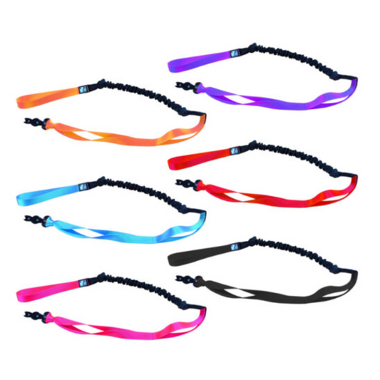 LE CHIEN BLANC | Bungee canicross