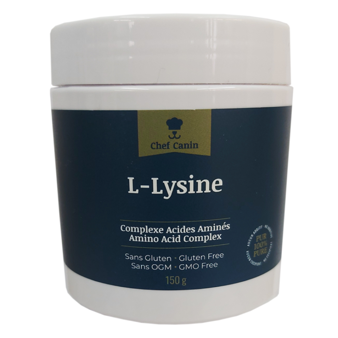 Chef canin l-lysine acides aminés chat