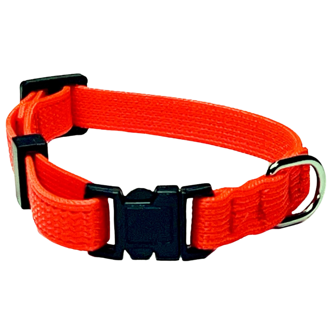 Collier chat en nylon ajustable orange conçu pour les chatons et petits chats. Nature Animale, votre référence en alimentation et sports canin à Mascouche.
