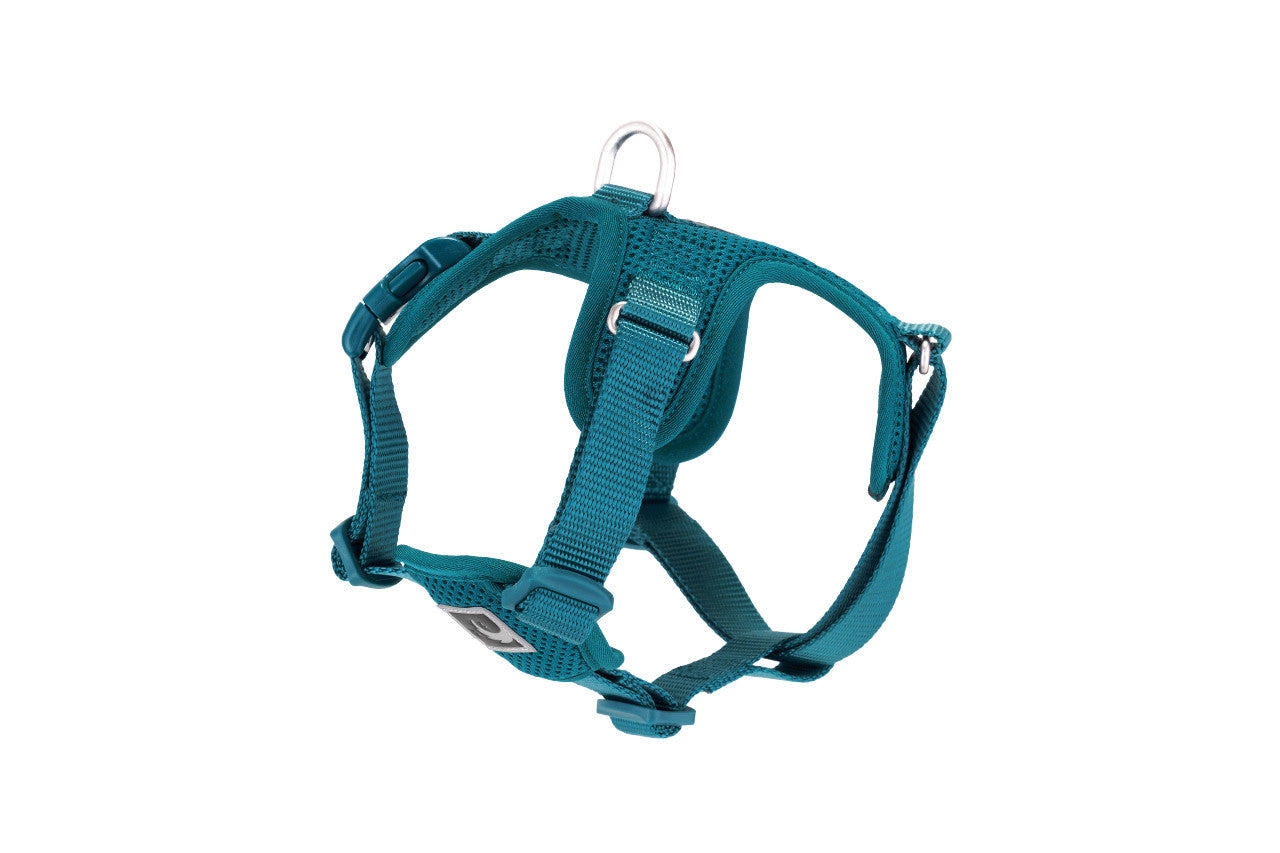 RC PETS | Harnais Step-In Forte pour chiens