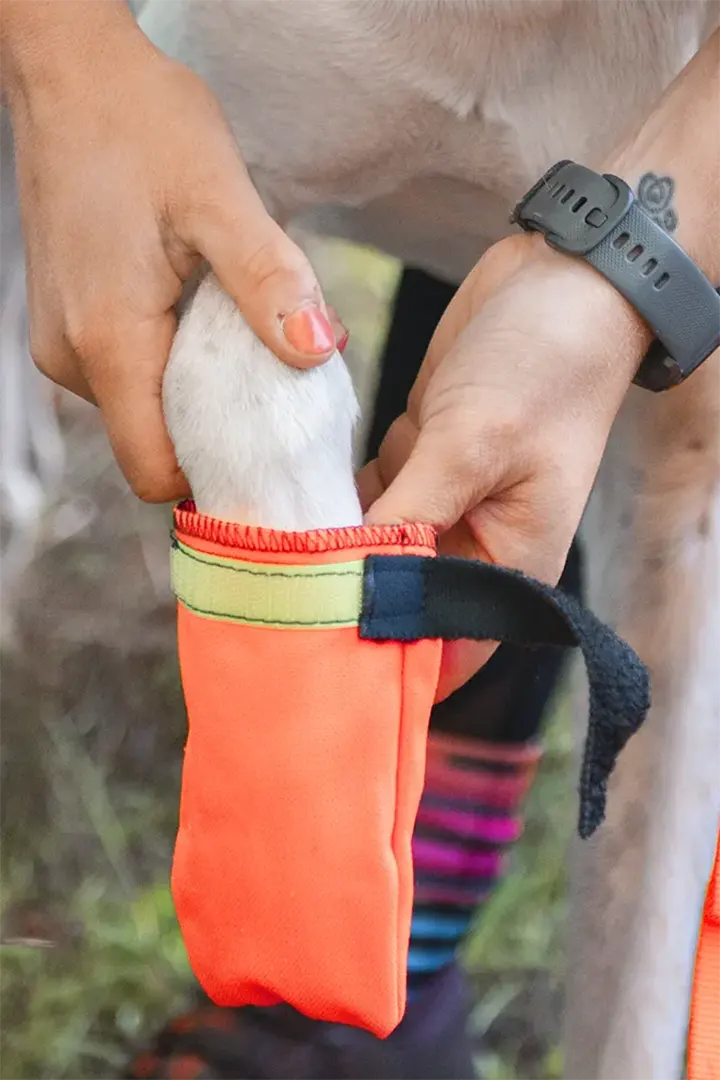 NAHAK | Botte pour chien - surface en terre