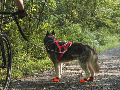 NAHAK | Botte pour chien - surface en terre