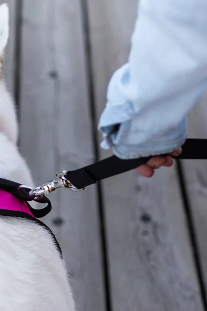 NAHAK | Laisse pour chien - double poignée