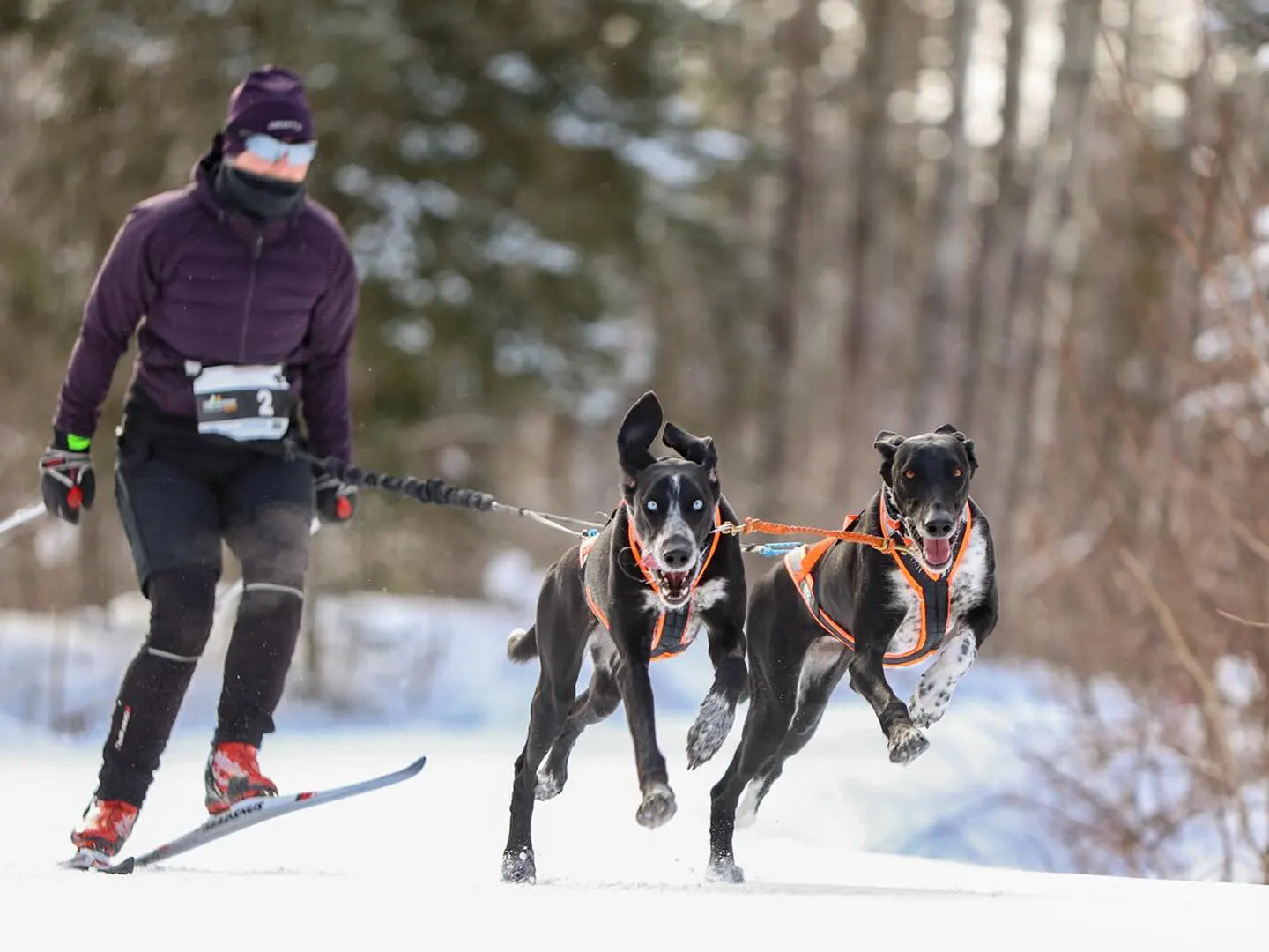 NAHAK | Ligne de trait