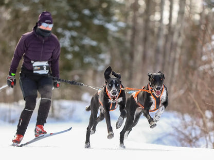 NAHAK | Ligne de trait