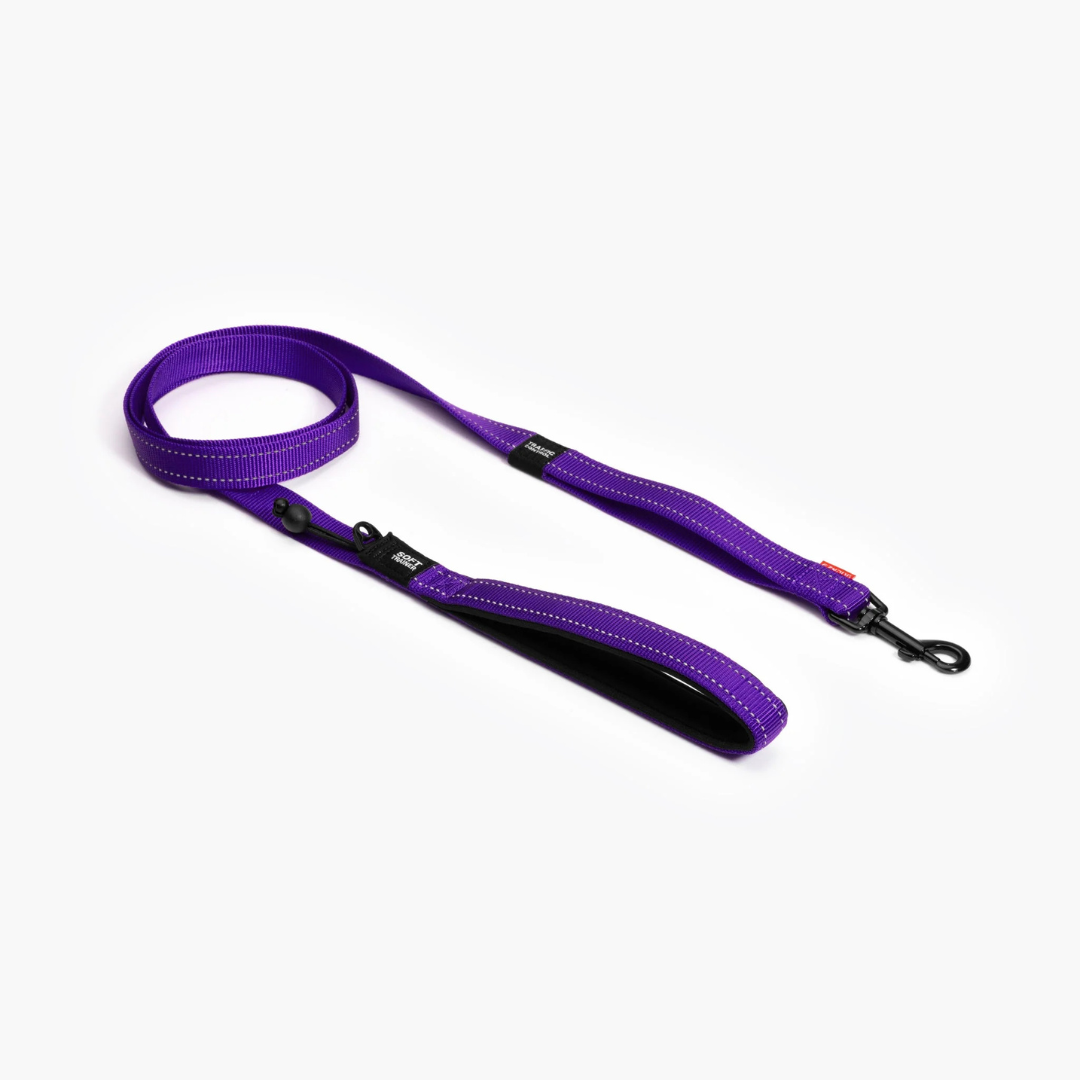 EZYDOG | Laisse soft trainer mauve