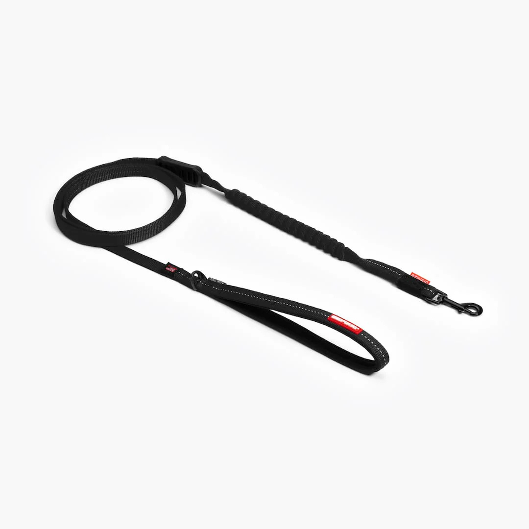 EZYDOG | Laisse zeroshock lite 6' noir