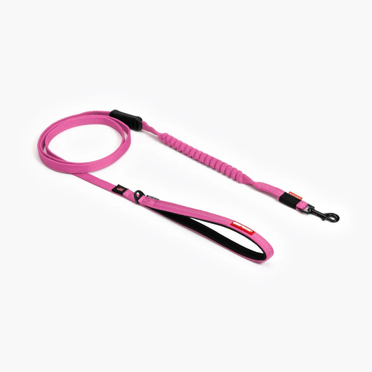 EZYDOG | Laisse zeroshock lite 6' rose