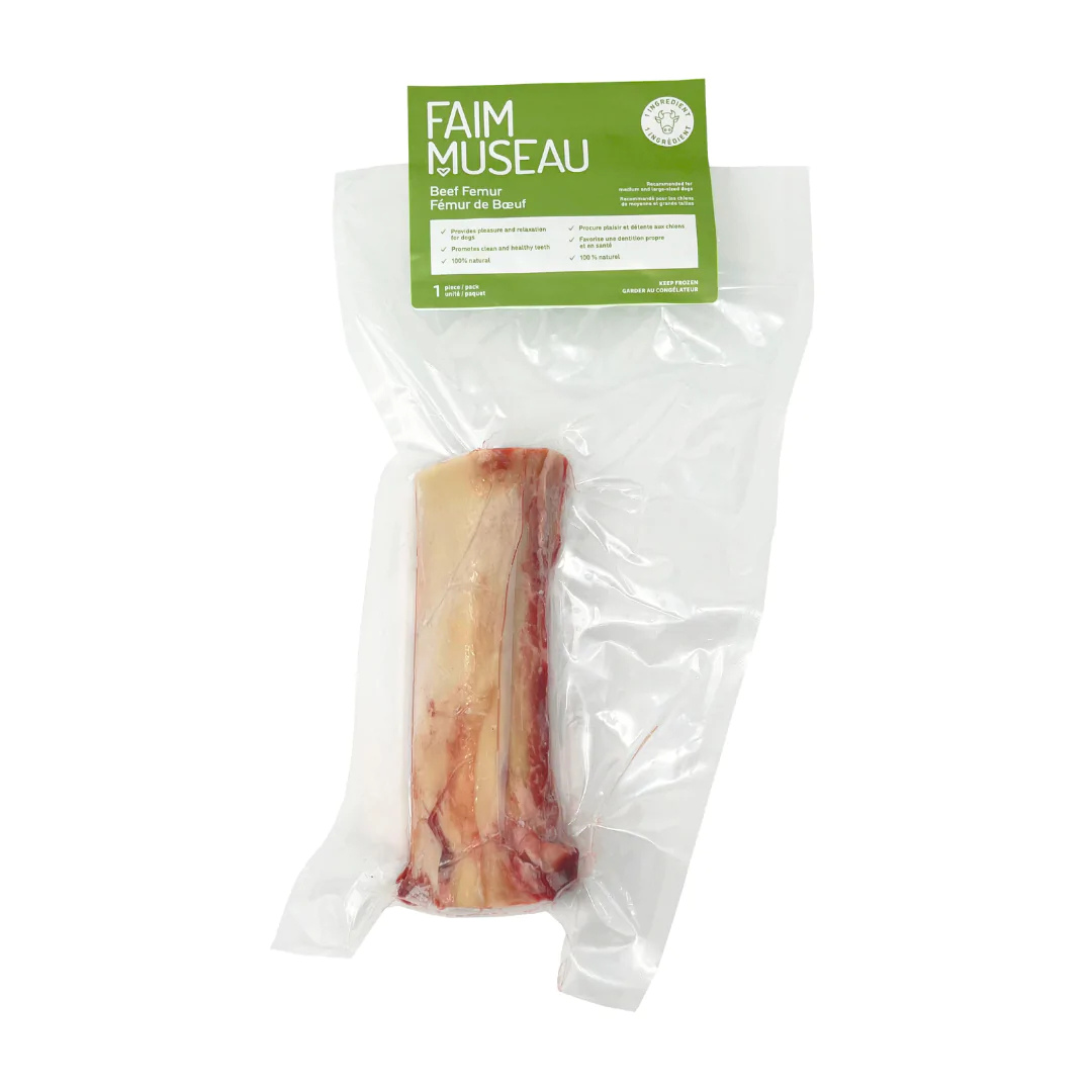 Faim Museau femur de boeuf