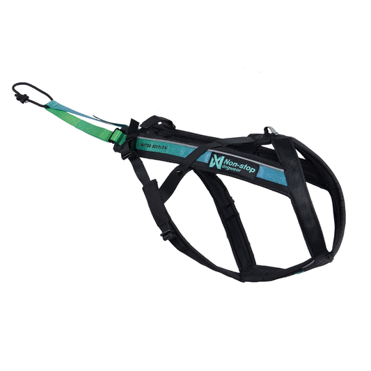 Freemotion 5.0 édition limitée