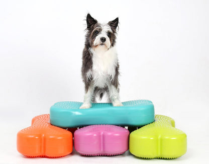 Ateliers de fitness canin (par Fun Fit Canin)