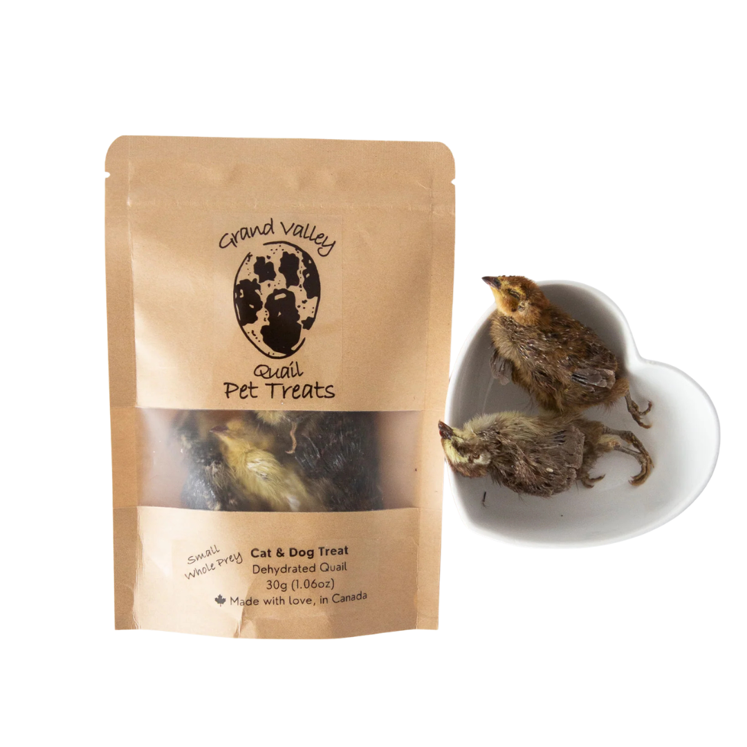 GRAND VALLEY QUAIL | Poussins de cailles déshydratés 40g