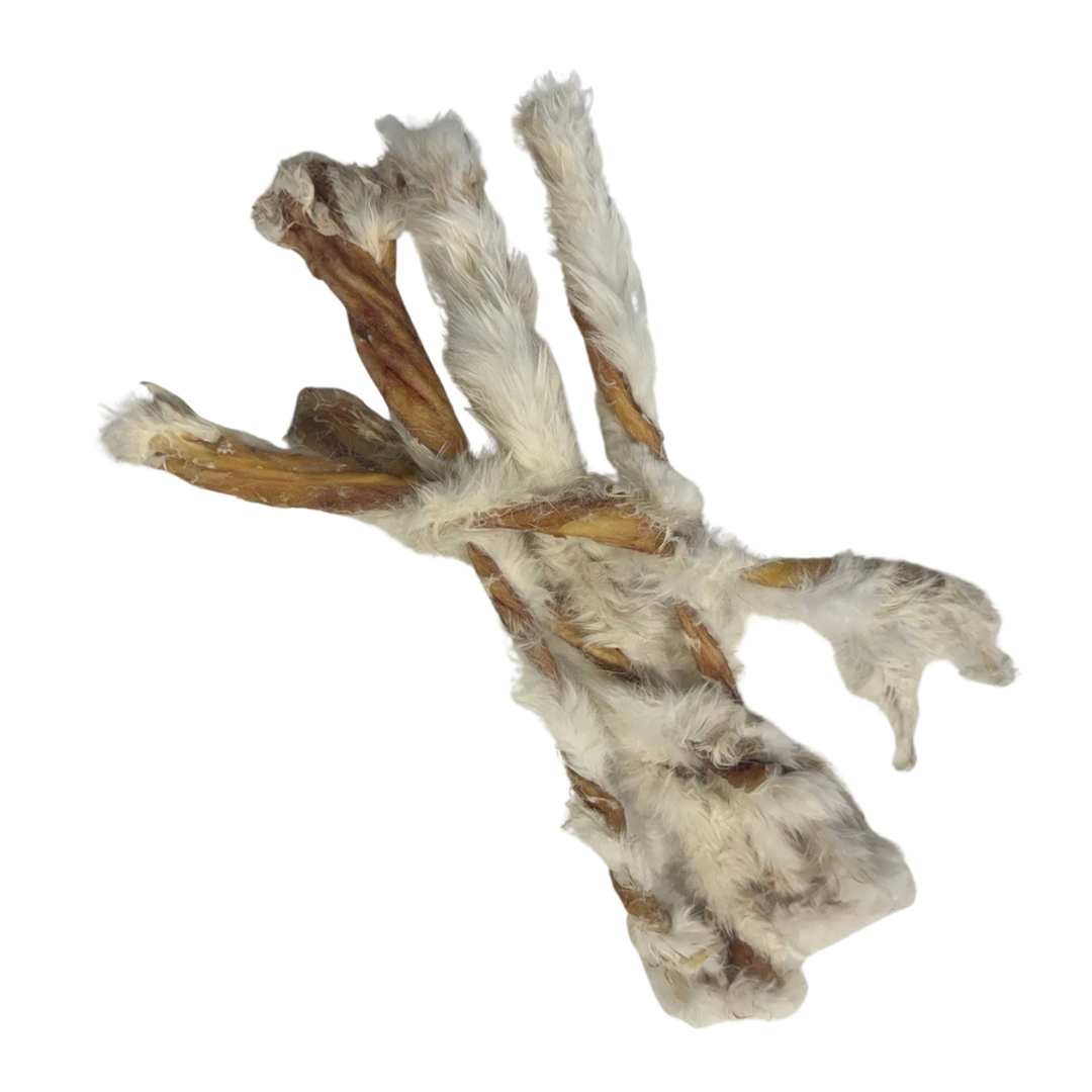 GRAND VALLEY QUAIL | Twist de peau de lapin déshydratée