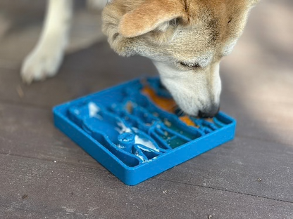 SODAPUP | Ralentisseur chiens patients bleu