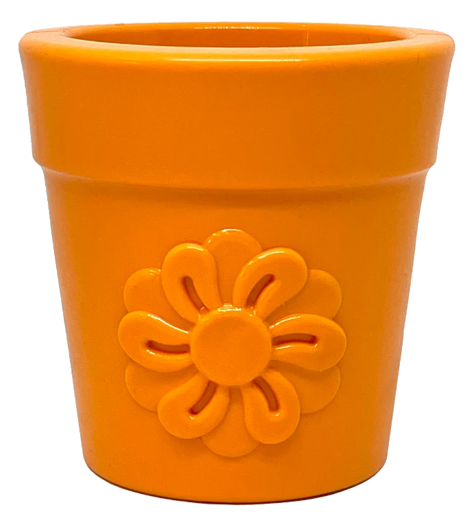 SODAPUP | Pot de fleur orange distributeur, Nature Animale, votre référence en alimentation animale à Mascouche.