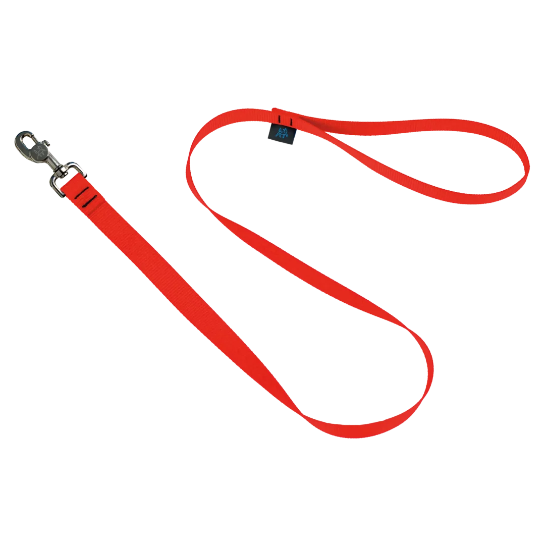 NAHAK | Laisse orange standard quatre pieds pour chien.Nature Animale, votre référence en alimentation animale et sport canin à Mascouche.