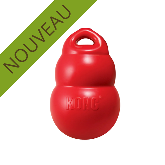 Le Kong Bounzer