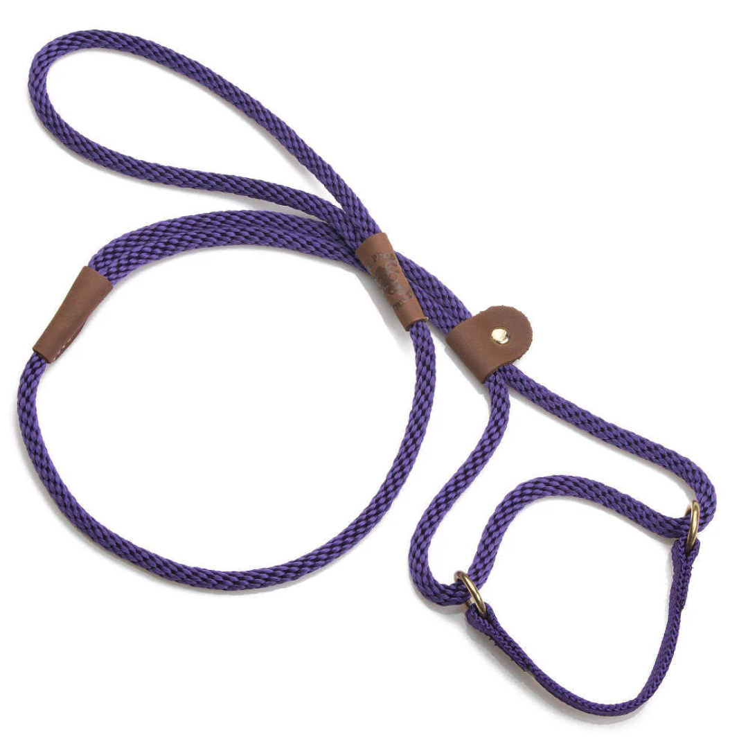 MENDOTA | Dog walker 3/8"X6' mauve