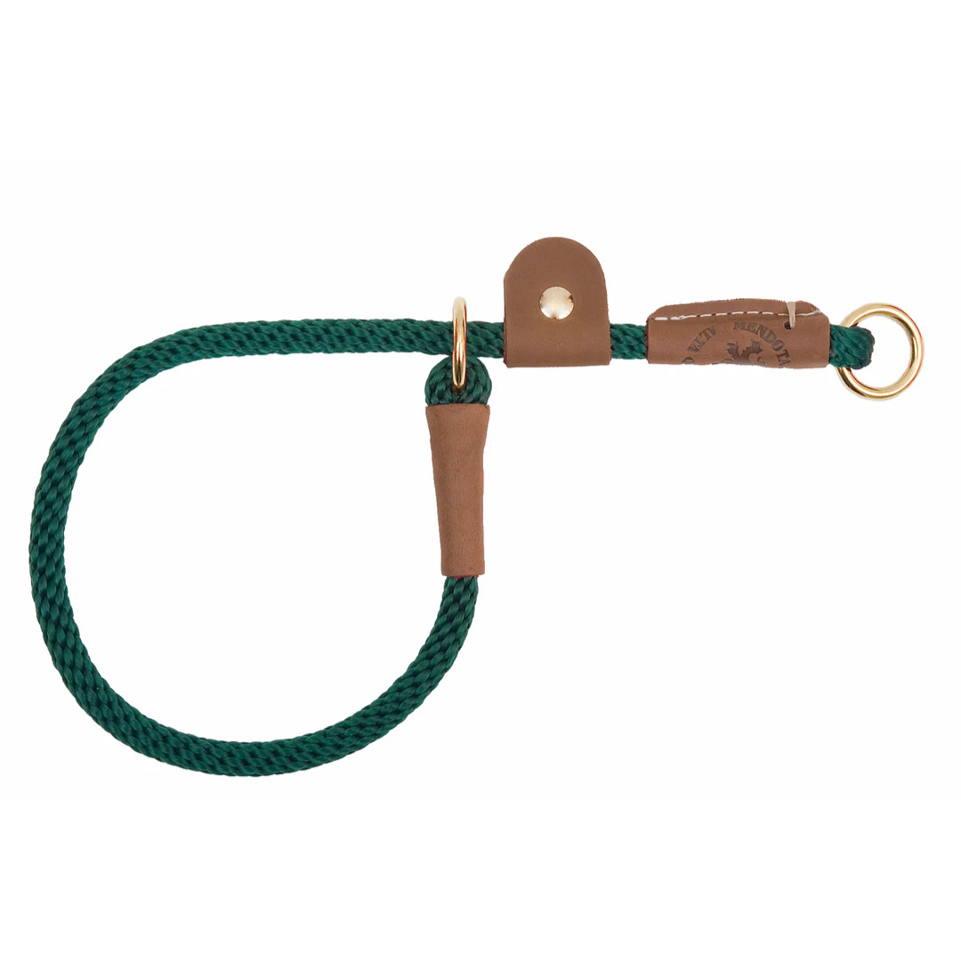 MENDOTA | Pro trainer slip collar vert