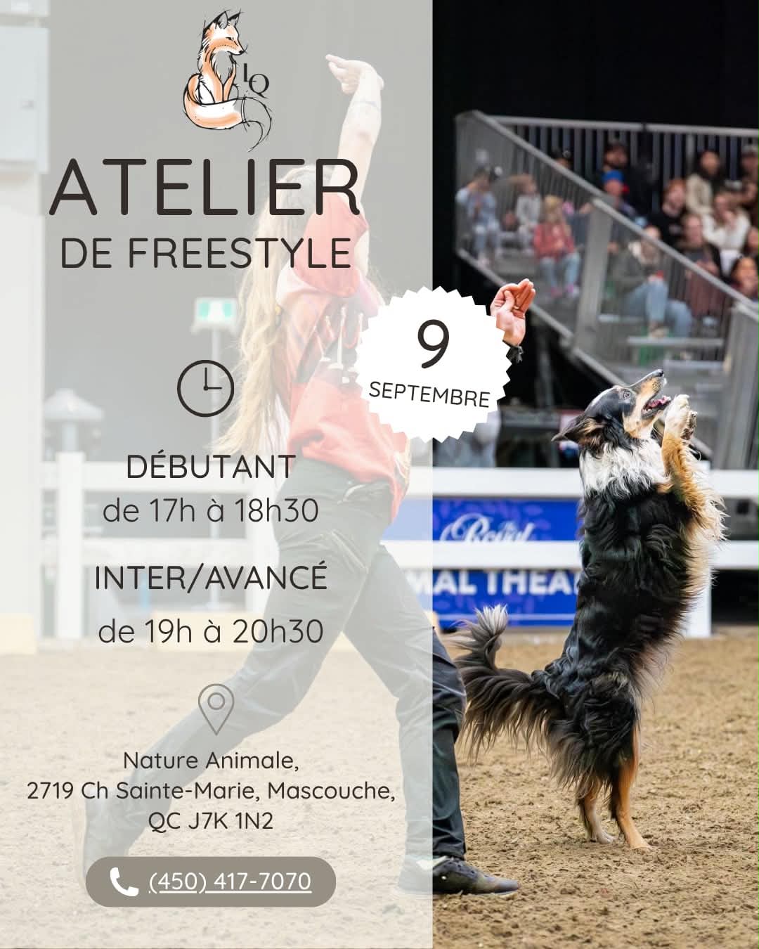 Ateliers de FREESTYLE CANIN