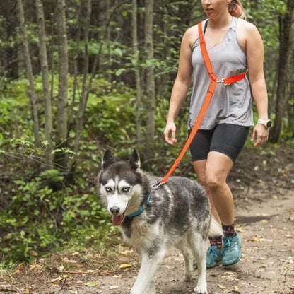 NAHAK | Laisse pour chien - multifonction ajustable