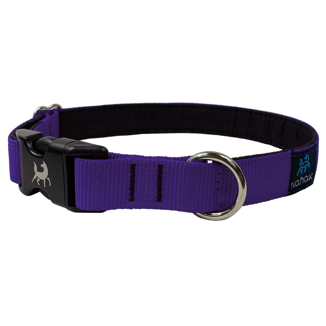 NAHAK | Collier mauve pour chien - rembourré avec clip. Nature Animale, votre référence en alimentation animale et sport canin à Mascouche.