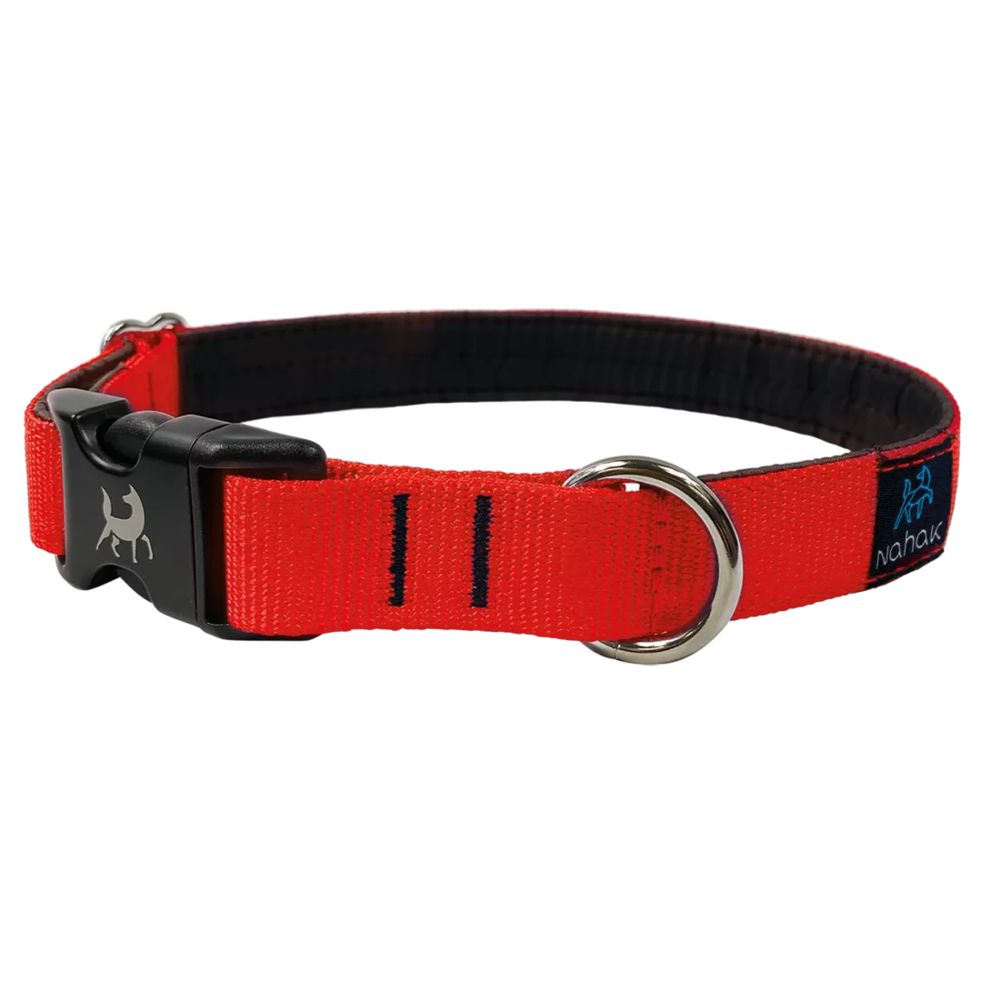 NAHAK | Collier orange pour chien - rembourré avec clip. Nature Animale, votre référence en alimentation animale et sport canin à Mascouche.