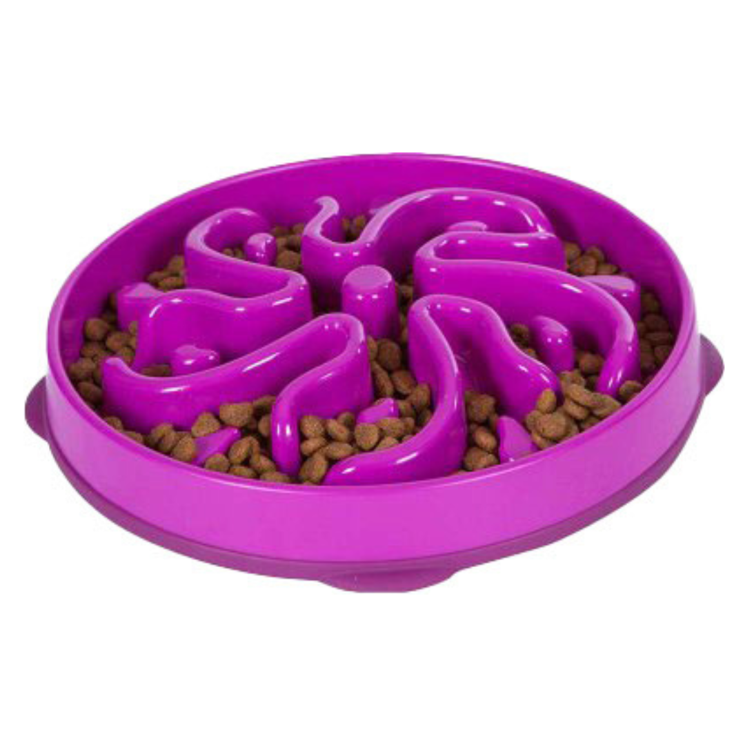 OUTWARD HOUND | Bol ralentisseur mauve