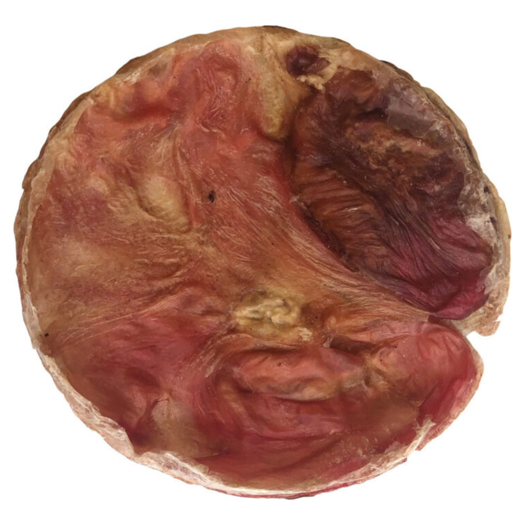 Open Range Furs-Bee vessie de boeuf