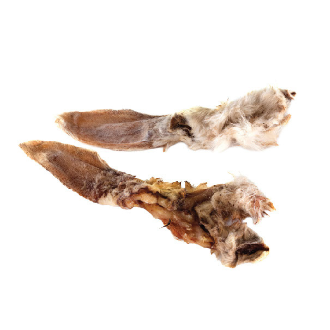PAW PAW | Oreille de lapin avec poil