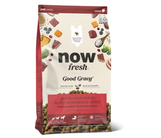 NOW FRESH | Good Gravy grains anciens au boeuf pour chien adulte