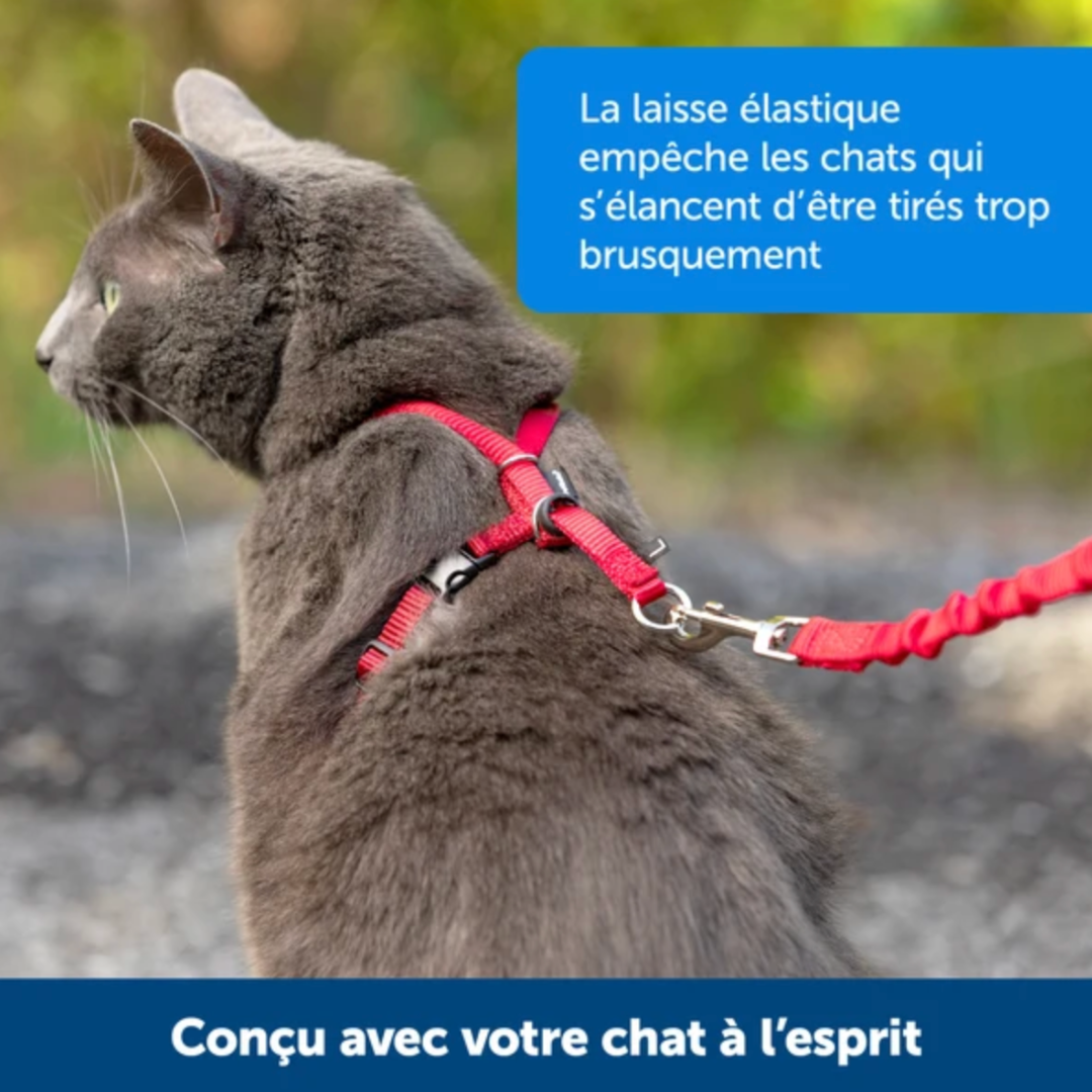 PETSAFE | Harnais chat rouge Nature Animale a Mascouche