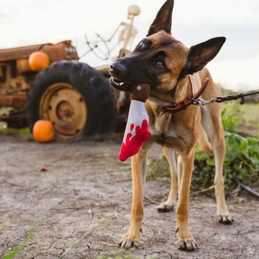 PET PLAY | Peluche Halloween DoggyDagger Couteau