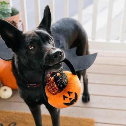 PET PLAY | Peluche d'Halloween Panier-citrouille avec 3 bonbons