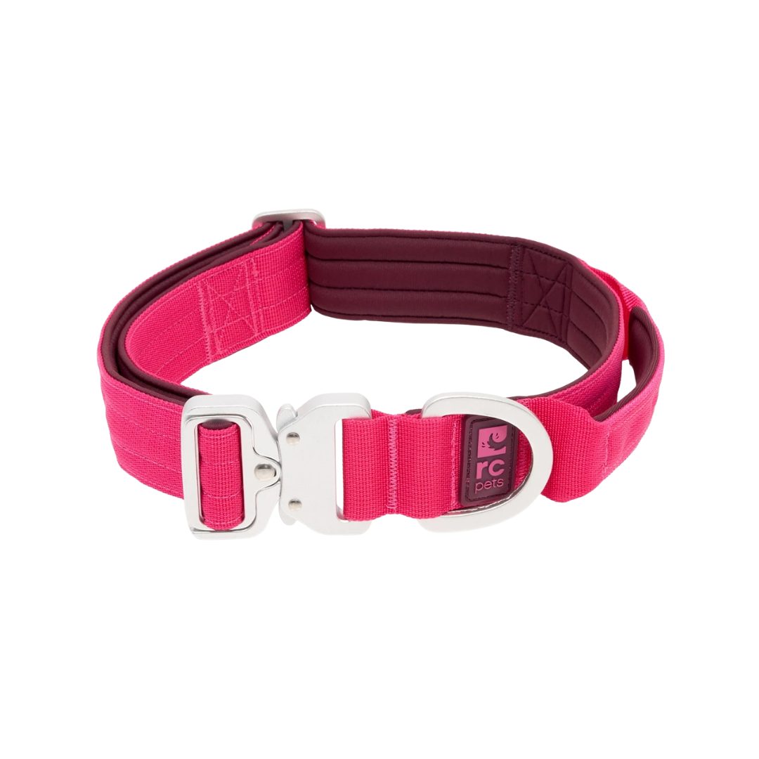 RC PETS | Collier Stratus azalee