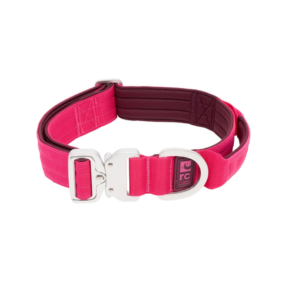RC PETS | Collier Stratus azalee