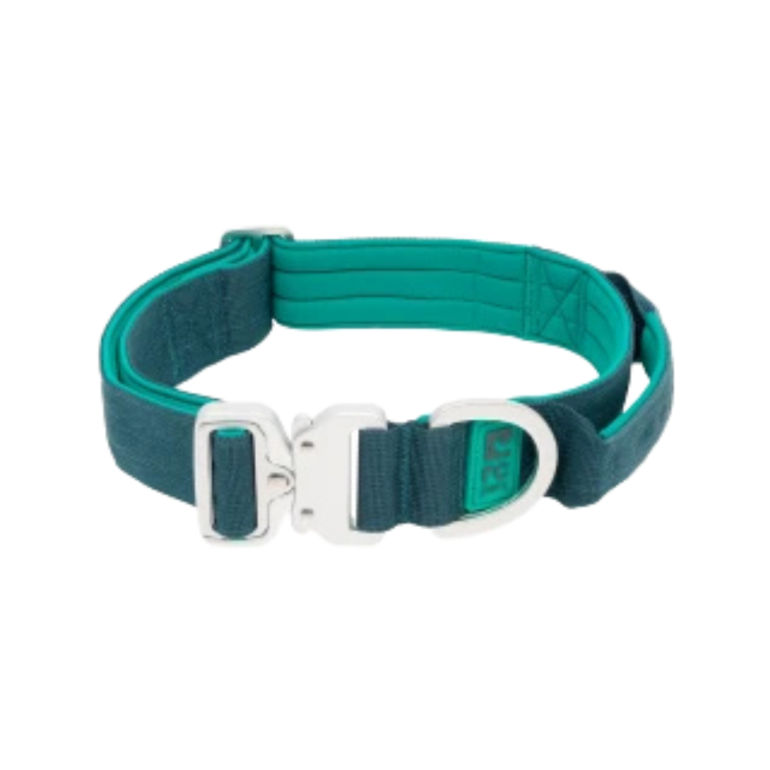 RC PETS | Collier Stratus ocean