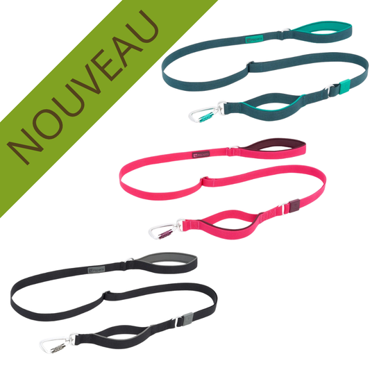 RC PETS | Laisse Stratus ocean, azalee ou noir